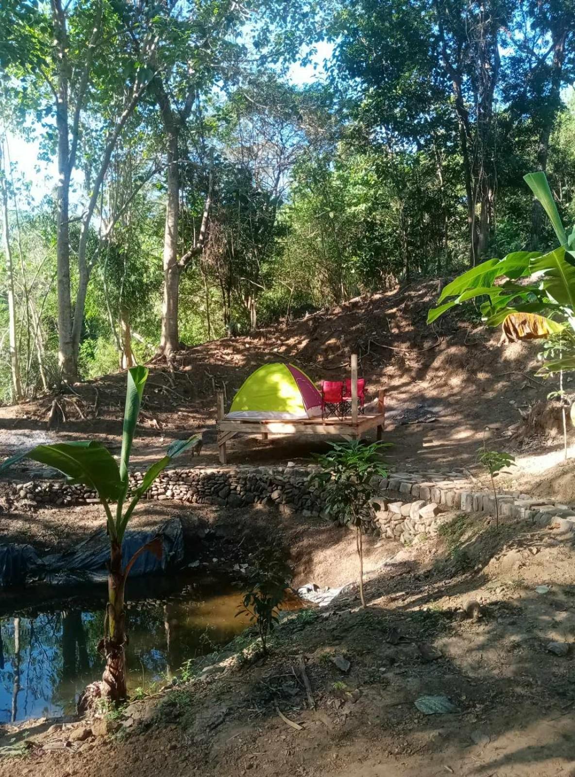 Camping Ground @ Eastdee Lidlidda Eksteriør billede
